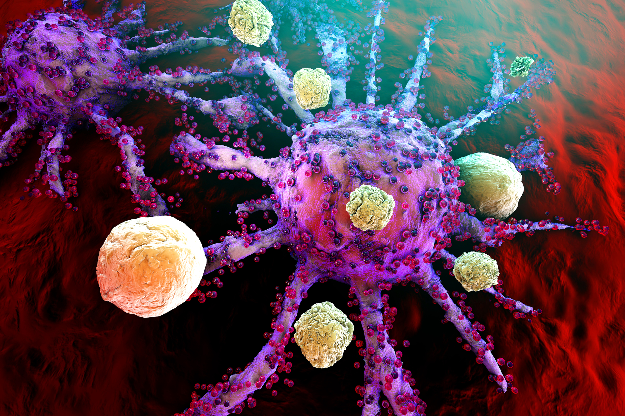 Ostx OSTX's OST-HER2: A Potential Game-Changer for Osteosarcoma (NYSE-A ...